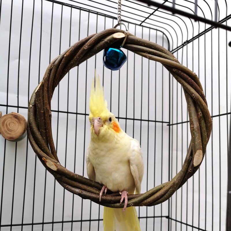 Rattan Ring Chew Stand for Small Parrots