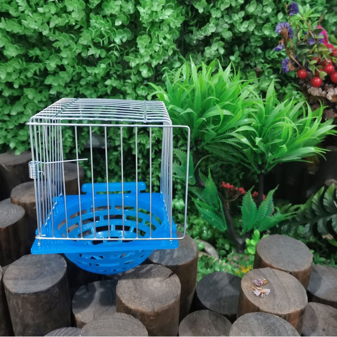 Small Parrot Breeding Box