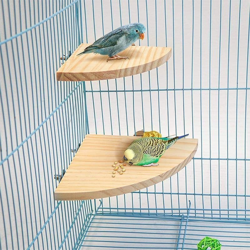 Solid Wood Platform Perch for Small Parrots