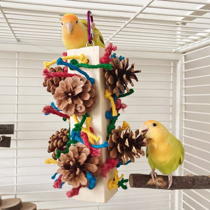 Solid Wood Chew Stand Toy for Parrots