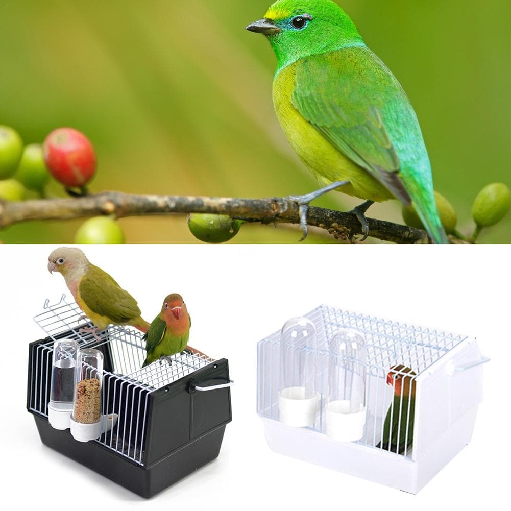 Portable Travel Cage for Small Parrots