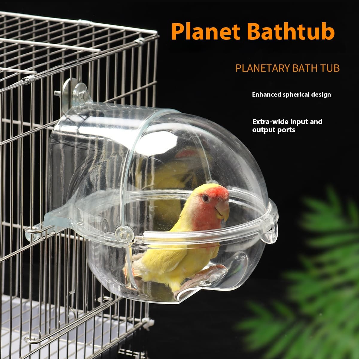 Plug-In Bath Tub for Small and Medium Parrots
